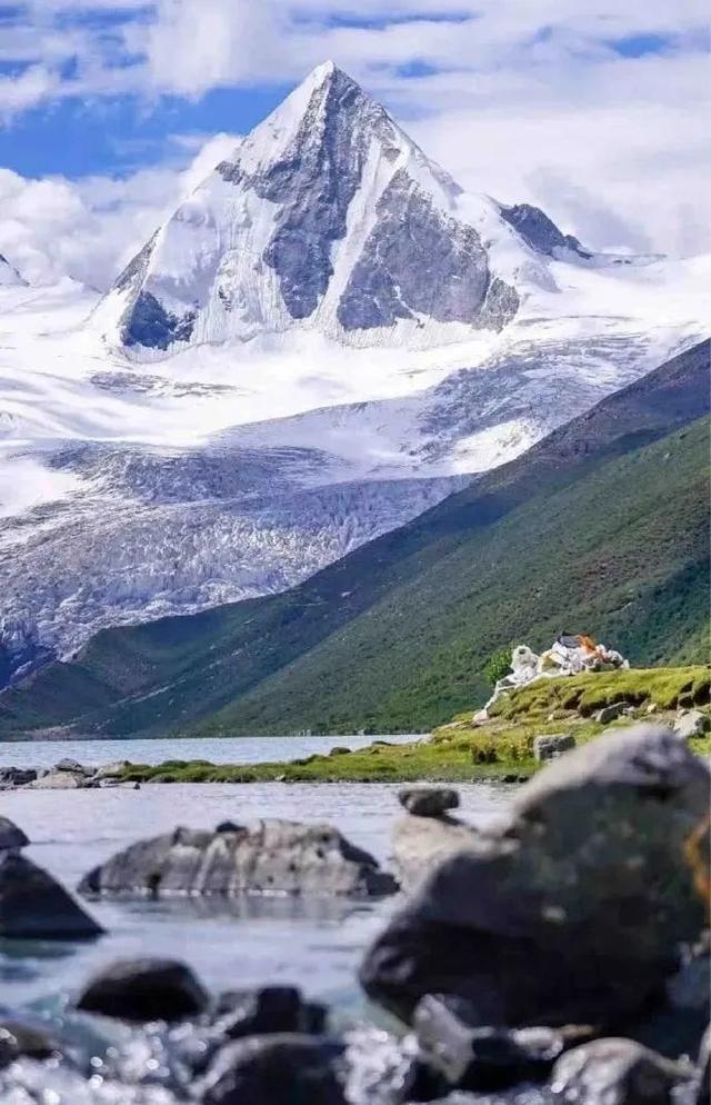 极地那曲不仅美在雪山湖泊，更美在每一棵生机盎然的树
