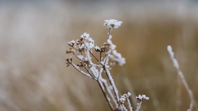 玛曲寒意渐起：裹暖，藏安，待冬来