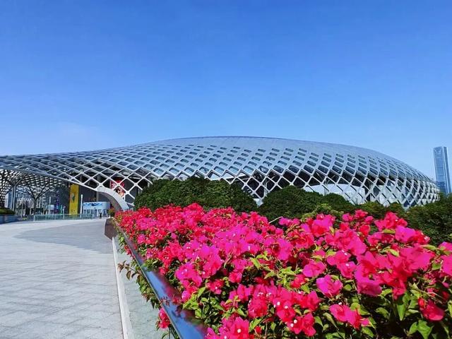 惊艳！南山60公里“空中花廊”来了~