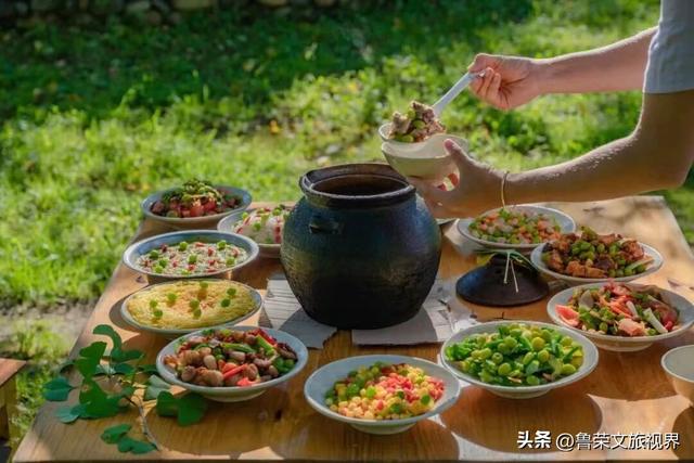 南方四境藏金秋：四大银杏秘境的温柔时光