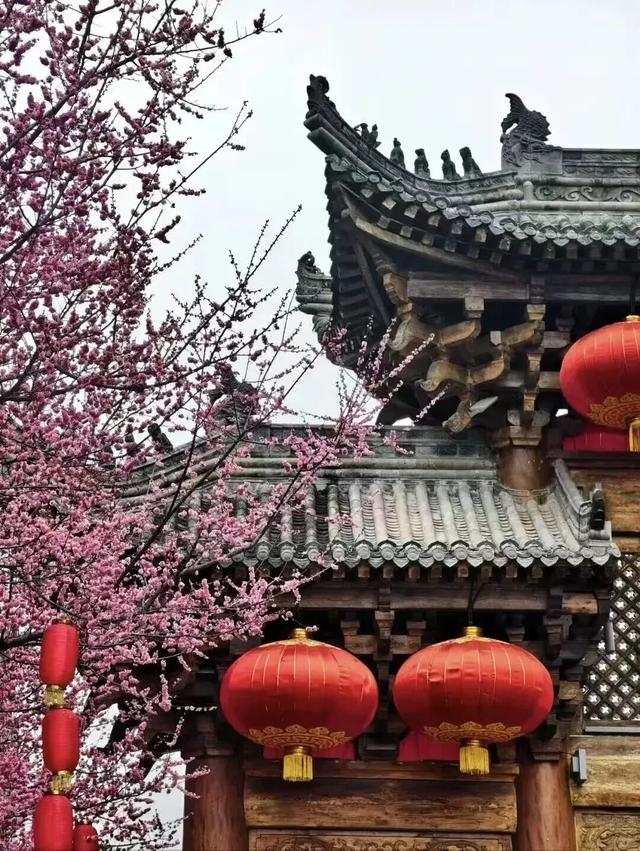 满屏梅花🤩不用怀疑！你期盼的春天提前来了！