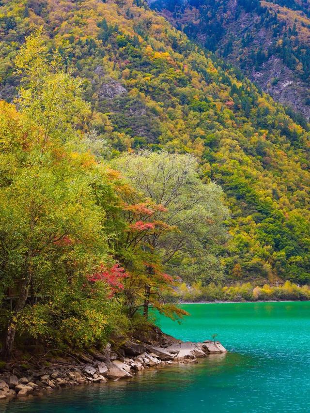 闯入秋日油画！松坪沟彩林巅峰绽放，泡私汤温泉，看千年非遗打铁花！