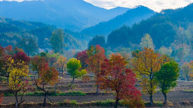 大别山中徐凤冲