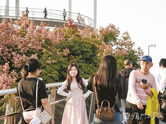 呷茶话仙、逐风踏浪、漫步花廊 —— 在厦门解锁周末N 种惬意玩法