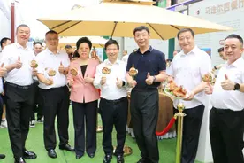 打造“永不落幕的西餐文化节”！百十“马迭尔”重塑传奇图片