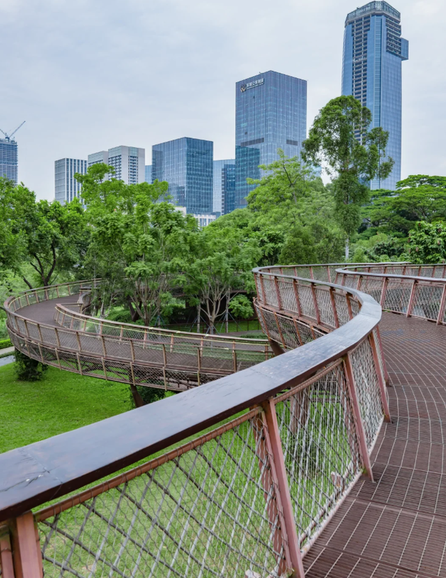 深圳又一生态长廊爆红，被称为现实版“魔法森林”，适合徒步遛娃