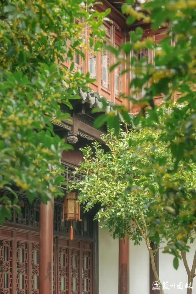 桂香满城！苏州桂花赏花地图来了！