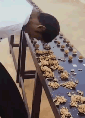 吉尼斯世界纪录到底有多奇葩？