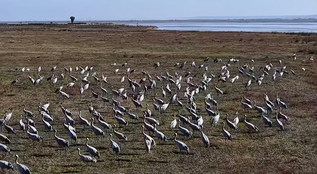 2025年12月第一周 渭南文化旅游资讯微报（组图）