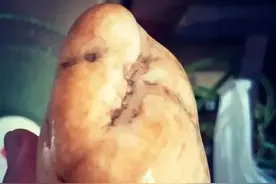 我国身价最贵的四大奇石：最贵的一个估价1.3亿！图片