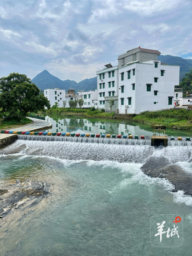 潮州潮安区东兴村：又见茶山 | 大美岭南·百村焕新记