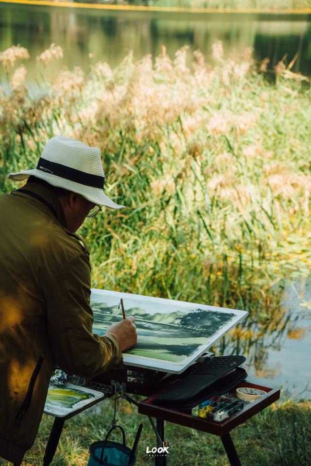 绝对不可以,错过这片金秋稻田