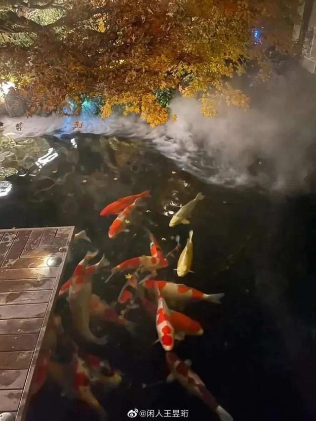 《学霸父亲造出梦幻家园，女儿嫌弃不够好？水哥教育观引发热议》