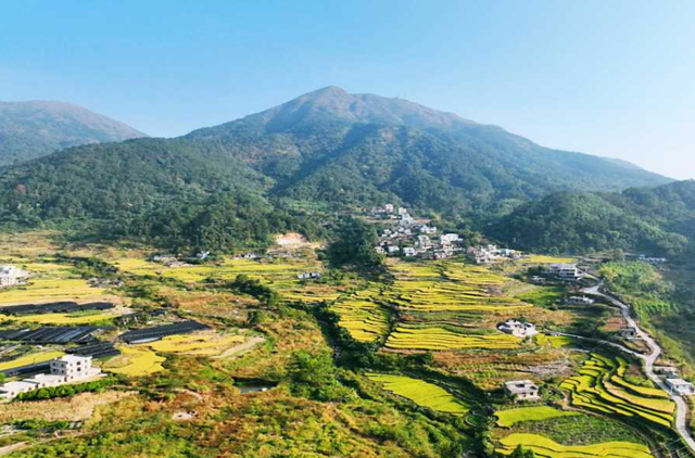 广西桂平市历史沿革及行政区划