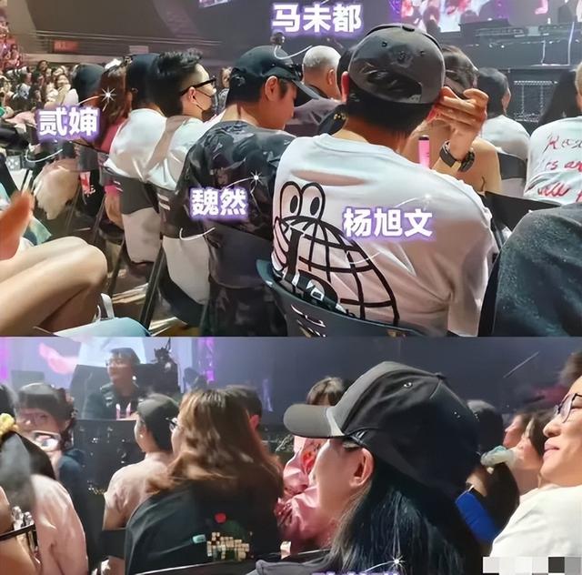 杨旭文坦白和陈若琳真实关系，担心的事发生	，8年前闹剧就开始了