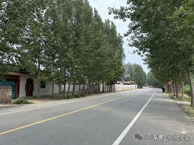 冠县乡韵·甘官屯镇太平庄