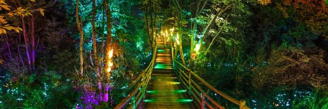 夜鹰潭，新活力！特色业态点亮假期，夜经济绽放绚丽光彩【全球学子嘉游赣 奇绝鹰潭逍遥游】