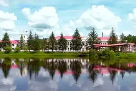 东北林业大学、中南林业科技大学、西南林业大学，现状、评价怎样图片