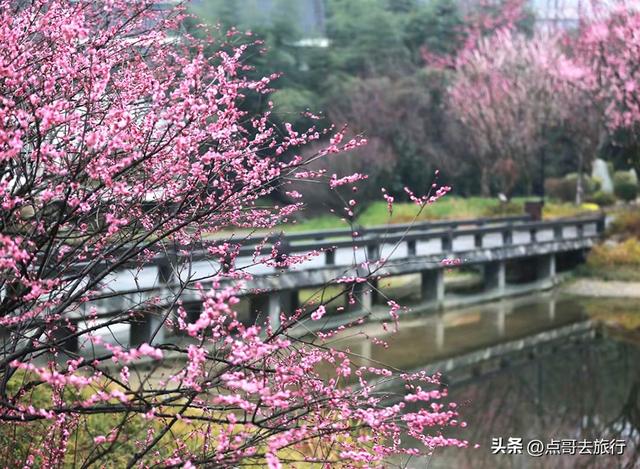 成都还开通这样的地铁线，真佩服！难怪旅游的人都往这里跑！