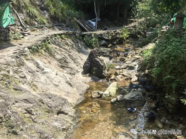温州这处山水秘境、天然氧吧，人迹稀少风景绝美，秘藏了隐世古村