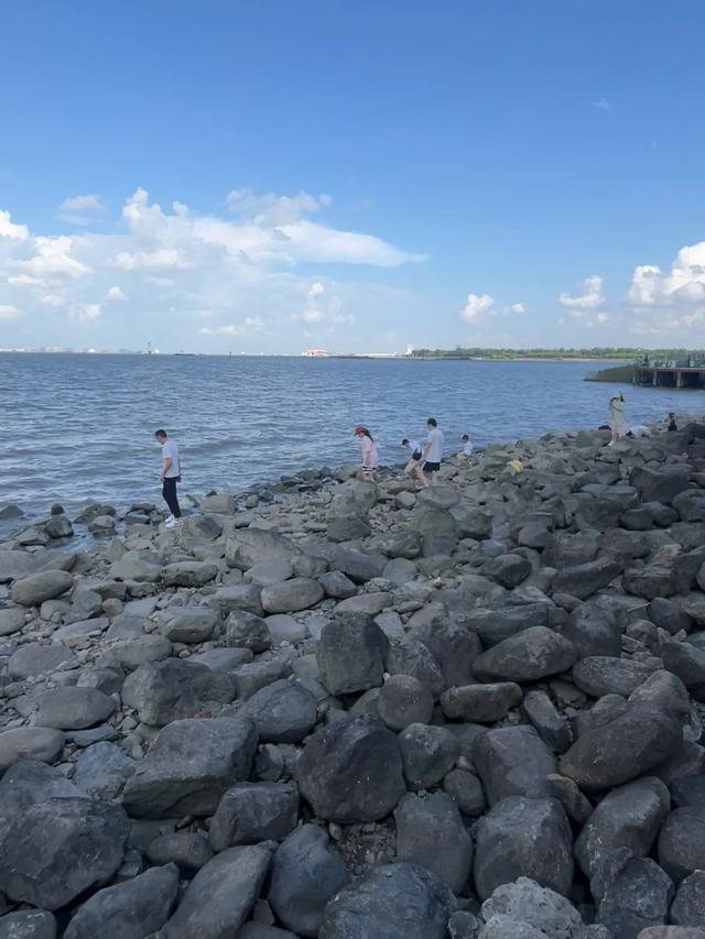 藏于上海的“小九寨沟”,能免费看海却鲜为人知!