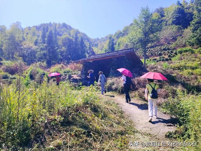 飞哥陪您走进紫云岭古道