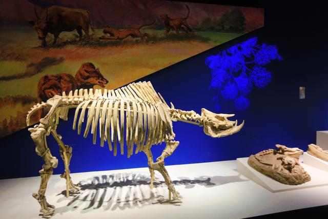 兰州黄河楼，被誉为“万里黄河第一楼”，在楼中还藏着众多博物馆