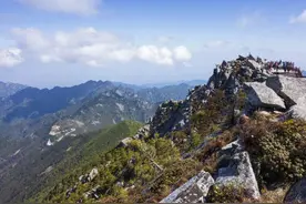 陕西当地有哪几种毒蛇？仅0.5米长，1滴毒液杀死130只老鼠！图片