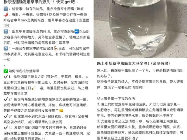头皮发麻！家里一发现请立刻扔掉！