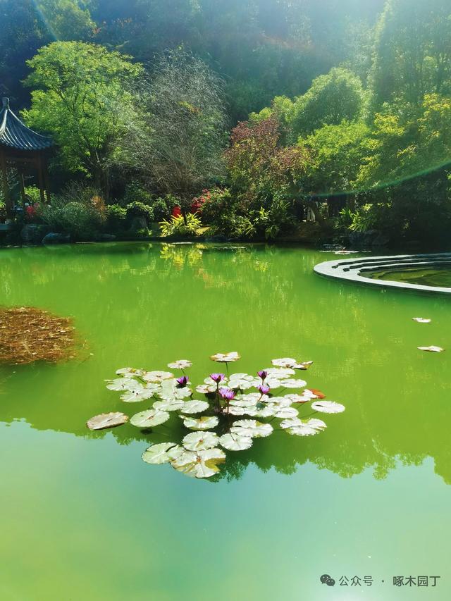 衣锦归乡，更要携光筑乡