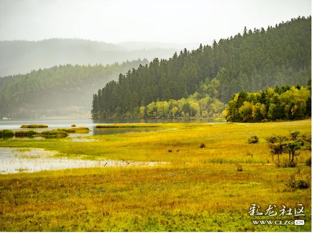 秋天的影像诗 普达措国家森林公园的秋天静谧安详，如诗如画