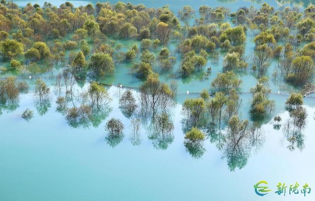 两江交汇碧波现