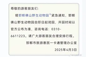 村委会回应动物园有熊出逃：尚未找到，避免靠近附近区域图片