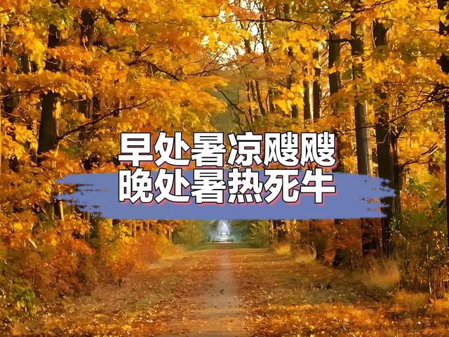 今日处暑，老话“冬天冷不冷，就看处暑”，今年冬天到底冷不冷？