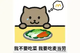 21 岁“纯爱战士”胖猫跳河后续！大桥上摆满外卖图片