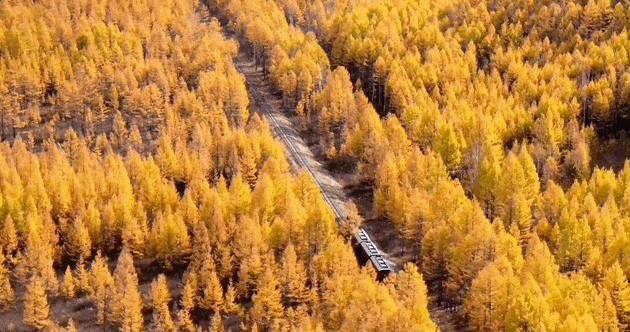 刚从旅游团逃出来，真想骂人