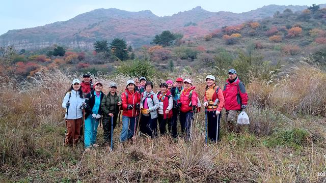 雾锁风挡山，红叶引客来