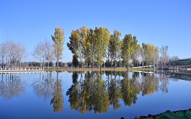 600元国产定焦，四种题材可玩性如何？体验铭匠Z口镜头23mm F1.8