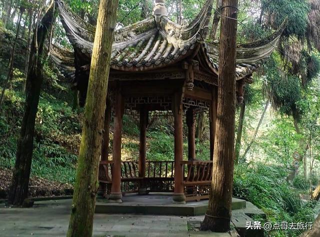 成都难得的清凉徒步胜地，在都江堰隔壁，不要门票，超级凉爽。
