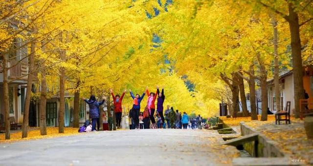 广东又发消费券！逛吃、购物都能用