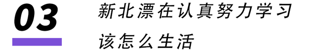 三万一辆的剁椒鱼头，成了不买房的年轻人的新家