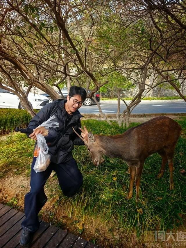 三刷大连！被“反向安利”的感觉太棒了