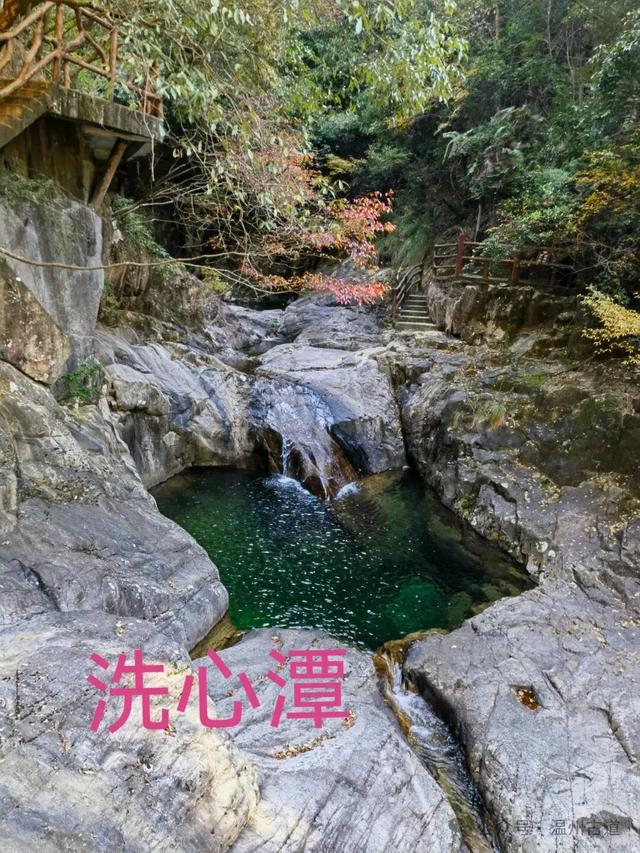 温州这个国家森林公园藏着深秋醉美的秋色,你可去过?