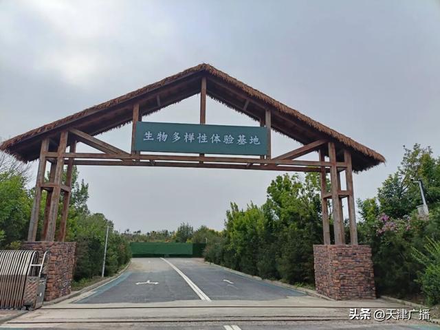 扩散 | 天津免费生态研学！这样预约→