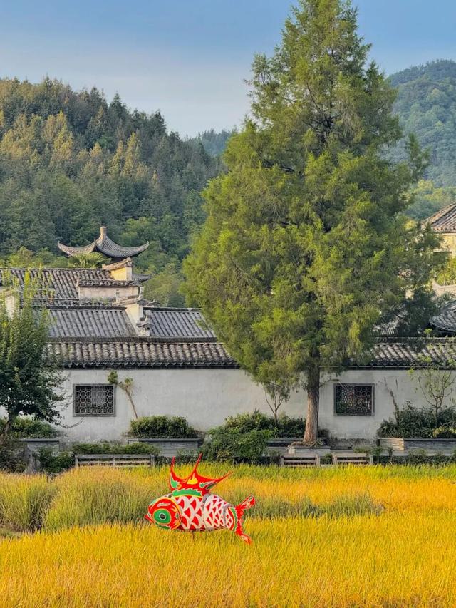 这个秋日，西递超好看的！| 皖美秋日