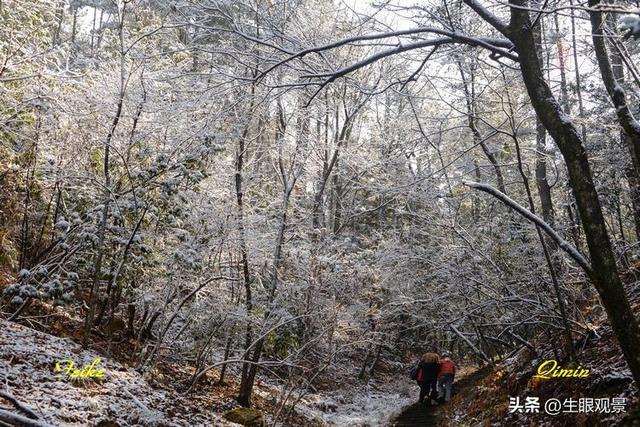 影记 | 衢州钱江源国家森林公园