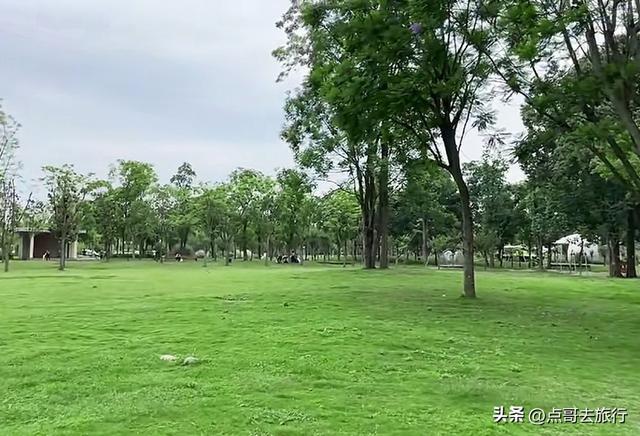 成都超级冷门公园，绿肺中的烟火成都，不要门票，1元公交直达！