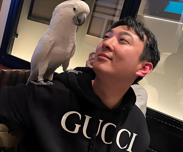 好牌打的稀烂! 卖掉8000万豪宅跑到日本, 王思聪彻底撕碎老王的体面