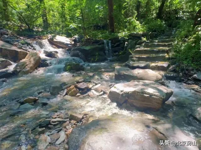 诚邀您共赴一场焕活身心的“森”呼吸之旅！