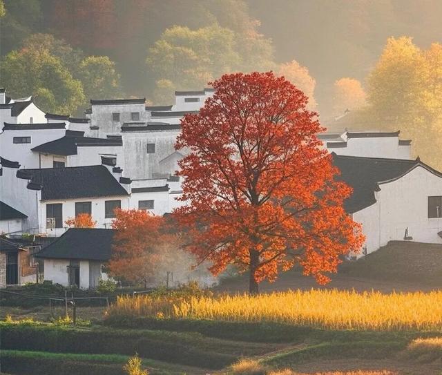 深秋的徽州